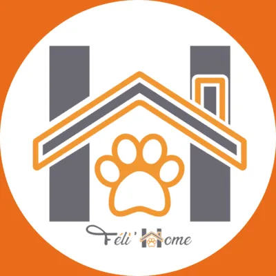 Logo Féli'Home fond orange