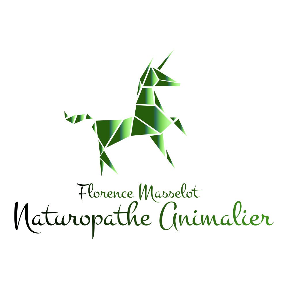 Logo Florence Masselot Naturopathe